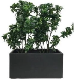 Elho Vivo Matt Finish Lang Wielen 90 - Grote Staande Plantenbak Voor Binnen & Buiten - Gemaakt Van Gereycled Plastic - L 39 X W 88 X H 41 Cm - Zwart -Tuin- En Buitengereedschapswinkels 1124x1200 5