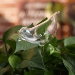 Waterdruppelaar Planten - Vorm Vogel - Set Van 3 Kunststof Druppelaars - 25cm Lengte - Genoeg Water Tijdens Je Vakantie -Tuin- En Buitengereedschapswinkels 1190x1200 9