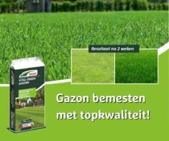 DCM Vital-Green Gazon - Gazonmest - Gazonmeststof Met MINIGRAN® Technology - 75m2 - 3 Kg -Tuin- En Buitengereedschapswinkels 1200x1000 2