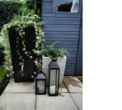 Prestige Manhattan 100L Regenton Zwart (incl. Kraantje) -Tuin- En Buitengereedschapswinkels 1200x1083 3