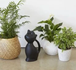 Balvi Meow! Kat Gieter - Zwart -Tuin- En Buitengereedschapswinkels 1200x1103 5