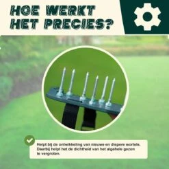 Merkloos Gazonbeluchtingssandalen Premium - Gazonbeluchter - Beluchter - Gazonverluchter - Gazonpriksandalen - Verticuteerroller - Graszaad - Gazonmest - Kerstcadeau - Voor Mannen - Voor Vrouwen - Cadeautjes- Vaderdag Cadeau- Geschenk- Cadeautjes 9 Merkloos Gazonbeluchtingssandalen Premium - Gazonbeluchter - Beluchter - Gazonverluchter - Gazonpriksandalen - Verticuteerroller - Graszaad - Gazonmest - Kerstcadeau - Voor Mannen - Voor Vrouwen - Cadeautjes- Vaderdag Cadeau- Geschenk- Cadeautjes -Tuin- En Buitengereedschapswinkels 1200x1197 23