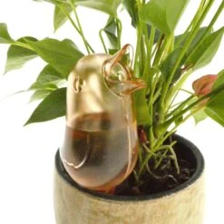 JS Drippy - Waterdruppelaars Set Van 2 Stuks - Druppelaar Vogel - Druppelsysteem Planten - Watergeefsysteem Kamerplanten - Waterbol - Roze -Tuin- En Buitengereedschapswinkels 1200x1200 1510