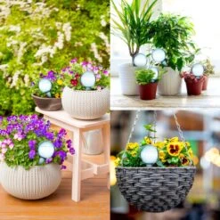 Druppelsysteem 12 Stuks Waterdruppelaar Voor Planten - Waterafgiftesysteem Voor 2 Weken - Beregening Voor Kamerplanten -Tuin- En Buitengereedschapswinkels 1200x1200 1520