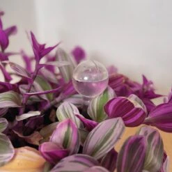 Merkloos JADI - Druppelsysteem - Waterdruppelaar Voor Uw Planten - Set Van 6 Stuks - 3 Grote & 3 Kleine - Transparante Waterbollen -Tuin- En Buitengereedschapswinkels 1200x1200 1590