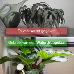 Waterdruppelaar Set Van 12 Stuks - Waterdruppelaar Voor Planten - Watergeefsysteem - Waterbol Irrigatiesysteem - Automatisch Druppelsysteem Voor Kamerplanten & Tuin - Watergever - Transparant - 15cm -Tuin- En Buitengereedschapswinkels 1200x1200 1595