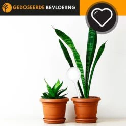 Waterdruppelaar Set Van 6 Stuks Voor Planten Transparant – 27 CM – Automatisch Watergeefsysteem Voor Kamerplanten – Planten Watergever Met Druppelsysteem – Waterbol -Tuin- En Buitengereedschapswinkels 1200x1200 1600