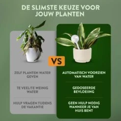STFF & Co® Waterdruppelaar Voor Planten – Irrigatiesysteem Automatisch Watergeefsysteem – Waterbollen Voor Planten – Bewateringssysteem – 8 Stuks - 5cm 7 STFF & Co® Waterdruppelaar Voor Planten – Irrigatiesysteem Automatisch Watergeefsysteem – Waterbollen Voor Planten – Bewateringssysteem – 8 Stuks - 5cm -Tuin- En Buitengereedschapswinkels 1200x1200 1603
