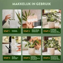 STFF & Co® Waterdruppelaar Voor Planten – Irrigatiesysteem Automatisch Watergeefsysteem – Waterbollen Voor Planten – Bewateringssysteem – 8 Stuks - 5cm 8 STFF & Co® Waterdruppelaar Voor Planten – Irrigatiesysteem Automatisch Watergeefsysteem – Waterbollen Voor Planten – Bewateringssysteem – 8 Stuks - 5cm -Tuin- En Buitengereedschapswinkels 1200x1200 1604