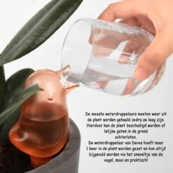 Waterdruppelaar Voor Planten 2 Stuks - Waterbol Kamerplanten - Automatisch Watergeefsysteem - Vogel - Blauw 8 Waterdruppelaar Voor Planten 2 Stuks - Waterbol Kamerplanten - Automatisch Watergeefsysteem - Vogel - Blauw -Tuin- En Buitengereedschapswinkels 1200x1200 1609