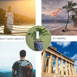 BOTC Waterdruppelaar Set Van 6 Stuks Voor Planten - Watergeefsysteem -Tuin- En Buitengereedschapswinkels 1200x1200 1615