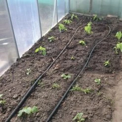 Druppelslang Actiepakket 100 Meter - Leidingshop 5 Druppelslang Actiepakket 100 Meter - Leidingshop -Tuin- En Buitengereedschapswinkels 1200x1200 1617