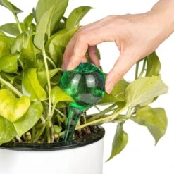 Merkloos Decopatent® 4 Stuks - Waterdruppelaar Voor Planten - Watergever - Glas - Waterbollen - Watergeefsysteem - Plantenbollen - Groen 19 Merkloos Decopatent® 4 Stuks - Waterdruppelaar Voor Planten - Watergever - Glas - Waterbollen - Watergeefsysteem - Plantenbollen - Groen -Tuin- En Buitengereedschapswinkels 1200x1200 1620