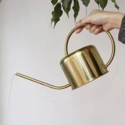 Kikkerland Vintage Gieter - Plantengieter Voor Binnen - Goud - 1,2L - Retro - Metaal -Tuin- En Buitengereedschapswinkels 1200x1200 1820