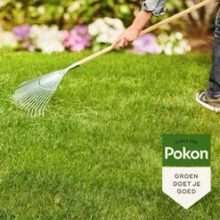 Pokon Gazonmest Met Kalk - 5kg - Mest - Geschikt Voor 75m² - 120 Dagen Voeding -Tuin- En Buitengereedschapswinkels 1200x1200 1859