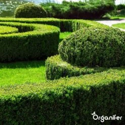 Lavameel Uit Eifel Oergesteente (20Kg Voor 200m2) Organifer 22 Lavameel Uit Eifel Oergesteente (20Kg Voor 200m2) Organifer -Tuin- En Buitengereedschapswinkels 1200x1200 1873