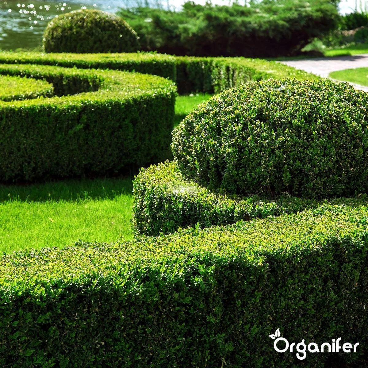 Lavameel Uit Eifel Oergesteente (20Kg Voor 200m2) Organifer 11 Lavameel Uit Eifel Oergesteente (20Kg Voor 200m2) Organifer - Afbeelding 11