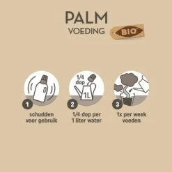 Pokon Bio Palm Voeding - 250ml - Plantenvoeding (bio) - 7ml Per 1L Water -Tuin- En Buitengereedschapswinkels 1200x1200 1894