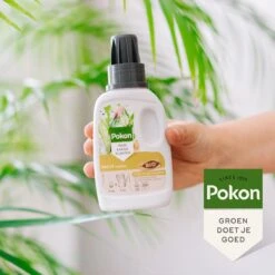 Pokon Bio Palm Voeding - 250ml - Plantenvoeding (bio) - 7ml Per 1L Water -Tuin- En Buitengereedschapswinkels 1200x1200 1895