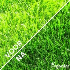 Kalk Korrel Meststof Verrijkt Met Magnesium (5Kg - Voor 100m2) Voor Dieper Bladgroen (+PH) Speciaal Voor Gazon, Perken, Moestuin En Openbaar Groen - Organifer -Tuin- En Buitengereedschapswinkels 1200x1200 1899