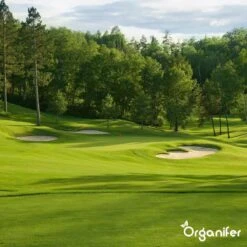 Kalk Korrel Meststof Verrijkt Met Magnesium (5Kg - Voor 100m2) Voor Dieper Bladgroen (+PH) Speciaal Voor Gazon, Perken, Moestuin En Openbaar Groen - Organifer -Tuin- En Buitengereedschapswinkels 1200x1200 1903