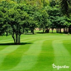 Kalk Korrel Meststof Verrijkt Met Magnesium (5Kg - Voor 100m2) Voor Dieper Bladgroen (+PH) Speciaal Voor Gazon, Perken, Moestuin En Openbaar Groen - Organifer -Tuin- En Buitengereedschapswinkels 1200x1200 1907