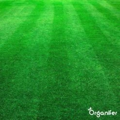 Kalk Korrel Meststof Verrijkt Met Magnesium (5Kg - Voor 100m2) Voor Dieper Bladgroen (+PH) Speciaal Voor Gazon, Perken, Moestuin En Openbaar Groen - Organifer -Tuin- En Buitengereedschapswinkels 1200x1200 1908