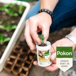 Pokon Stekpoeder - 25gr - Stimuleert Wortelvorming -Tuin- En Buitengereedschapswinkels 1200x1200 1912