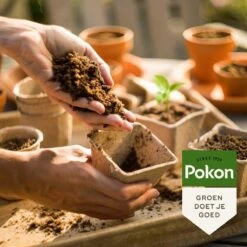 Pokon Stekpoeder - 25gr - Stimuleert Wortelvorming -Tuin- En Buitengereedschapswinkels 1200x1200 1913