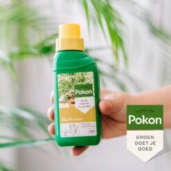 Pokon Palm Voeding - 250ml - Plantenvoeding - 10ml Per 1L Water -Tuin- En Buitengereedschapswinkels 1200x1200 1919