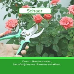 Djambo Tuingereedschap Set 8-delig Tuinsetje Met 15 Unieke Bamboe Plantetiketten In 1 Draagtas - Compleet Tuingereedschap Voor De Tuinliefhebbers -Tuin- En Buitengereedschapswinkels 1200x1200 945
