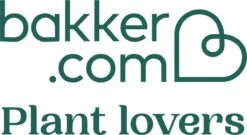 Pokon Bladglans 250ml 12 Pokon Bladglans 250ml -Tuin- En Buitengereedschapswinkels 1200x657 3