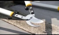 Hendrik Jan - Takkenschaar - Aluminium - Aambeeld - 62 Cm -Tuin- En Buitengereedschapswinkels 1200x704 2