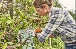 Stihl Accu Mini Kettingzaag SET - Snoeischaar - Snoeizaag - Hand Kettingzaag - Professioneel- Hovenier- Tuinman -Tuin- En Buitengereedschapswinkels 1200x779 6