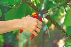 WOLF-Garten Snoeischaar "Premium Plus" RS 4000 - Aambeeld - Max. Knipdiameter 25 Mm - Links- En Rechtshandige - Softinleg Handgreep - Snijhoek 30° - Voor Grote Handen - Vervangbare Messen En Aambeeld -Tuin- En Buitengereedschapswinkels 1200x798 12