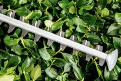 Bosch UniversalHedgeCut 60 Heggenschaar - Op Snoer - Lengte 60 Cm -Tuin- En Buitengereedschapswinkels 1200x800 278