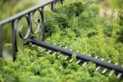 Bosch UniversalHedgeCut 18-55 Heggenschaar - Zonder 18V Accu En Oplader 14 Bosch UniversalHedgeCut 18-55 Heggenschaar - Zonder 18V Accu En Oplader -Tuin- En Buitengereedschapswinkels 1200x800 286