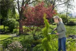 GARDENA PrecisionCut Buxusschaar - Meslengte 18 Cm - Vormsnoeien -Tuin- En Buitengereedschapswinkels 1200x800 293