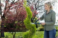 GARDENA PrecisionCut Buxusschaar - Meslengte 18 Cm - Vormsnoeien -Tuin- En Buitengereedschapswinkels 1200x800 294