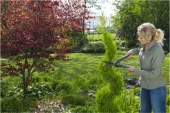 GARDENA PrecisionCut Buxusschaar - Meslengte 18 Cm - Vormsnoeien -Tuin- En Buitengereedschapswinkels 1200x800 297