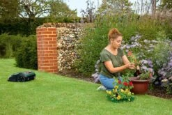 Bosch Indego S+ 500 Robotmaaier - Voor Gazons Tot 500 M2 - Incl. Laadstation En Accessoires - Connected -Tuin- En Buitengereedschapswinkels 1200x800 320