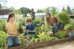 GARDENA Combisystem Bladharkje - Werkbreedte 12 Cm - 25 Jaar Garantie -Tuin- En Buitengereedschapswinkels 1200x800 350