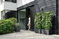 Elho Vivo Next Vierkant 30 - Plantenbak Voor Binnen & Buiten - Ø 29.5 X H 29.5 Cm - Zwart/Living Black -Tuin- En Buitengereedschapswinkels 1200x800 481