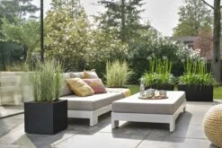 Elho Vivo Next Vierkant 40 - Plantenbak Voor Binnen & Buiten - Ø 39.0 X H 37.9 Cm - Zwart/Living Black -Tuin- En Buitengereedschapswinkels 1200x800 484