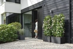 Elho Vivo Next Vierkant 40 - Plantenbak Voor Binnen & Buiten - Ø 39.0 X H 37.9 Cm - Zwart/Living Black -Tuin- En Buitengereedschapswinkels 1200x800 485