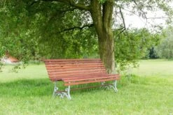 MaximaVida Tuinbank Budapest Oil 170 Cm - Uit Exclusief Mahoniehout -Tuin- En Buitengereedschapswinkels 1200x800 81