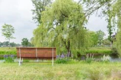 MaximaVida Tuinbank Budapest Oil 170 Cm - Uit Exclusief Mahoniehout -Tuin- En Buitengereedschapswinkels 1200x800 82