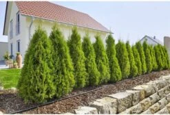 GARDENA Micro Drip System Startset L Druppelsysteem - 50 Meter -Tuin- En Buitengereedschapswinkels 1200x814 4