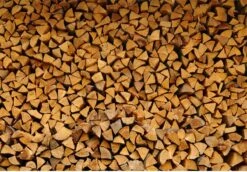 Steko Houtsplijter Voor Grote Blokken - Voor Aanmaakhout & Brandhout - Houtklover - Houtkliever - Splijtwig - Handmatig - Overal Te Gebruiken 1605 Gram - Metaal - Kloofwig - HOGE VOLUMEKORTING -Tuin- En Buitengereedschapswinkels 1200x837 2