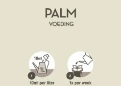 Pokon Palm Voeding - 250ml - Plantenvoeding - 10ml Per 1L Water -Tuin- En Buitengereedschapswinkels 1200x856 8